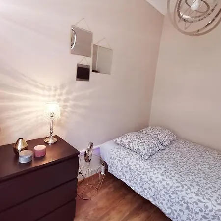 Zola Version Moderne - Logement Familial Au Coeur De * Troyes